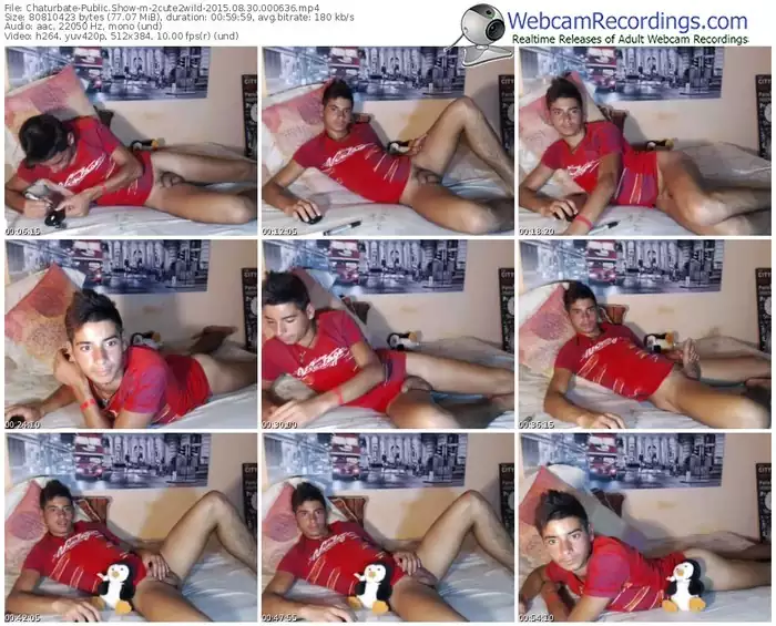 chaturbate-2cute2wild-public-show-08_30_2015-00_06_36