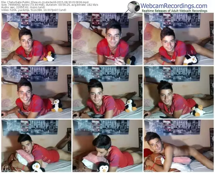 chaturbate-2cute2wild-public-show-08_30_2015-01_06_36