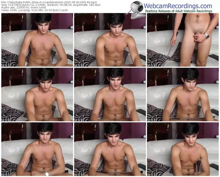 chaturbate-ricardomansion-public-show-08_30_2015-00_01_40