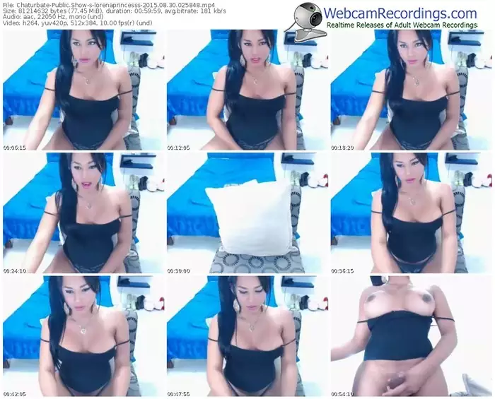 chaturbate-lorenaprincesss-public-show-08_30_2015-02_58_48