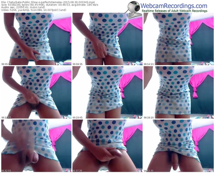 chaturbate-perfectshemalex-public-show-08_30_2015-00_33_43