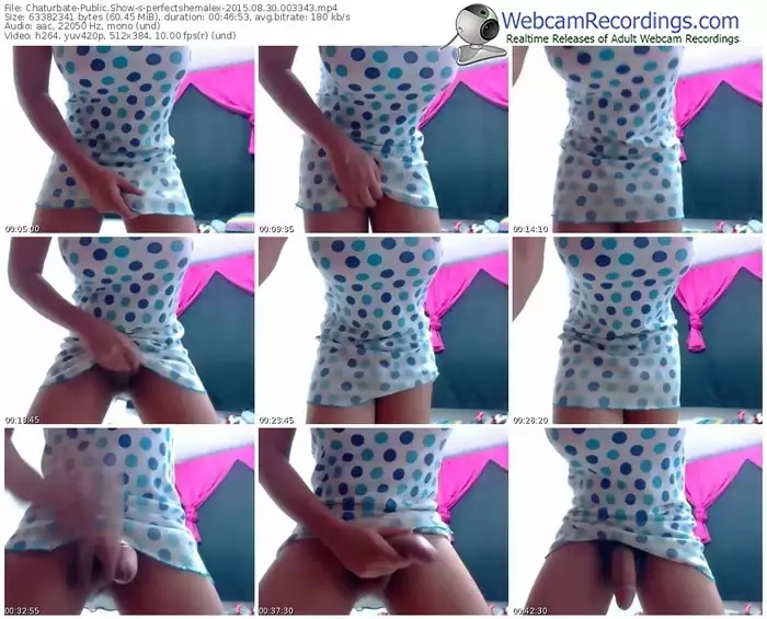 chaturbate-perfectshemalex-public-show-08_30_2015-00_33_43