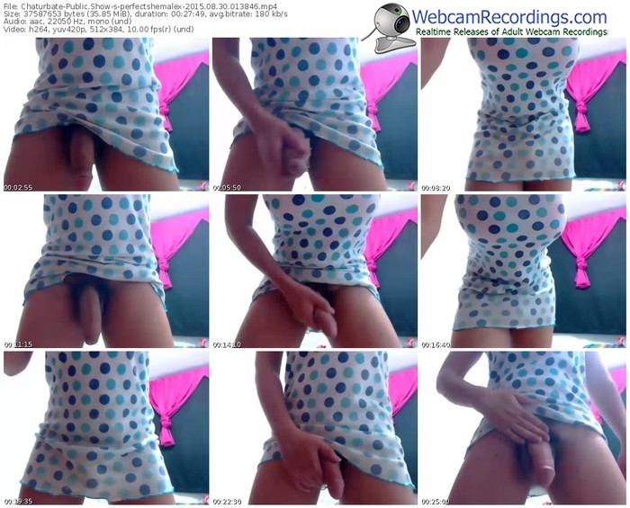 chaturbate-perfectshemalex-public-show-08_30_2015-01_38_46