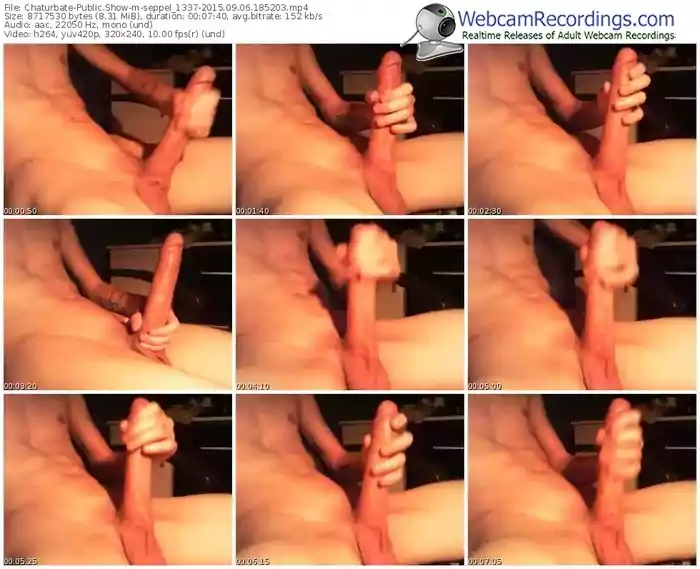 chaturbate-seppel_1337-public-show-09_06_2015-18_52_03