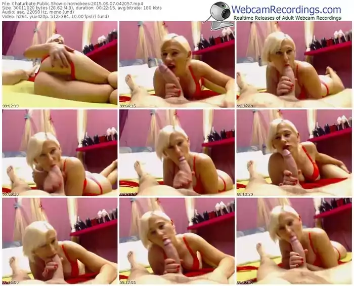 chaturbate-hornebees-public-show-09_07_2015-04_20_57