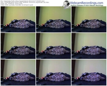 chaturbate-angelsdaniel-public-show-09_07_2015-04_06_09
