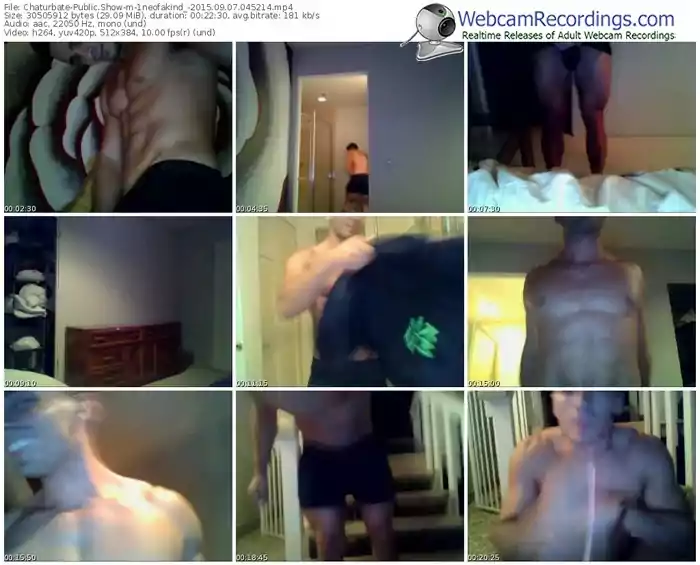 chaturbate-1neofakind_-public-show-09_07_2015-04_52_14