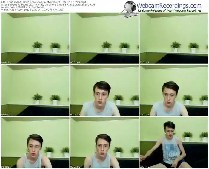 chaturbate-armintwink-public-show-09_07_2015-17_32_29