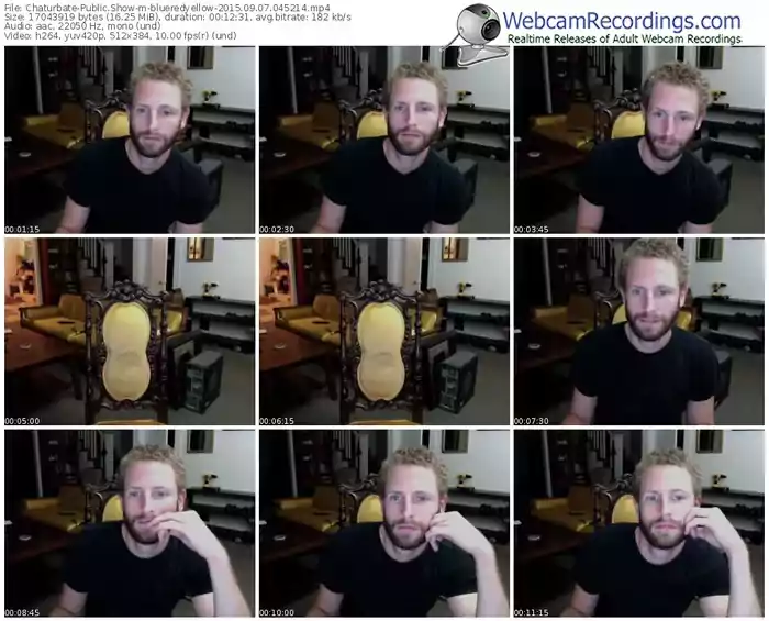 chaturbate-blueredyellow-public-show-09_07_2015-04_52_14