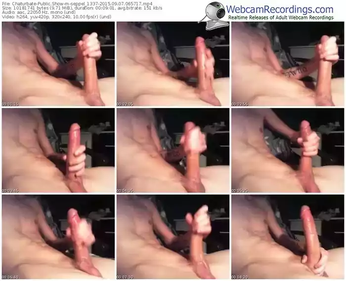 chaturbate-seppel_1337-public-show-09_07_2015-06_57_17