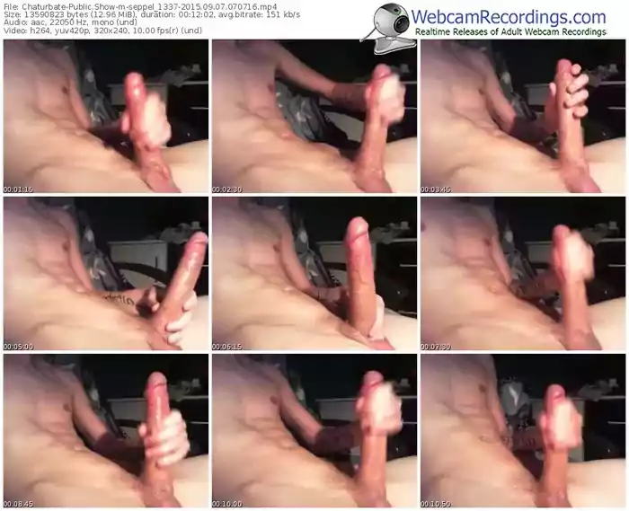 chaturbate-seppel_1337-public-show-09_07_2015-07_07_16