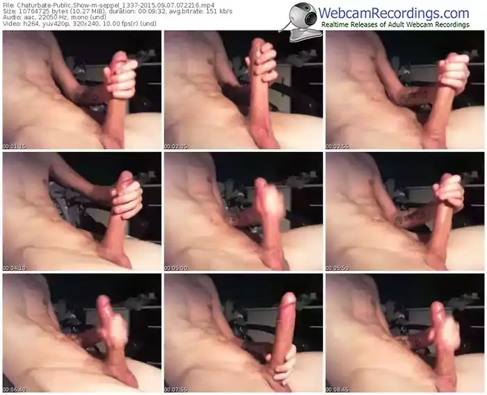 chaturbate-seppel_1337-public-show-09_07_2015-07_22_16