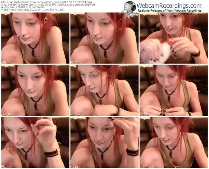 chaturbate-the_green_goose-public-show-09_07_2015-03_52_24