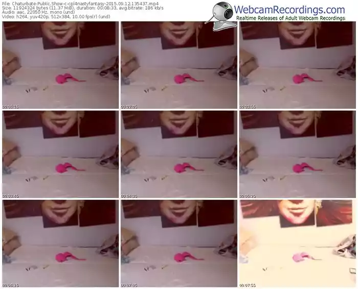 chaturbate-cpl4nastyfantasy-public-show-09_12_2015-13_54_37