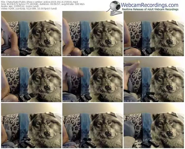 chaturbate-amber_wolve-public-show-09_14_2015-15_50_41