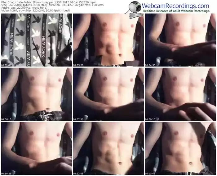 chaturbate-seppel_1337-public-show-09_14_2015-15_27_29