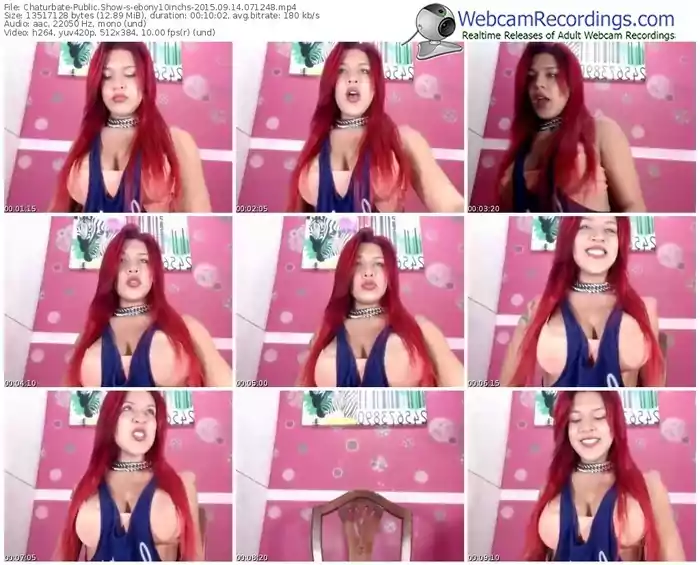 chaturbate-ebony10inchs-public-show-09_14_2015-07_12_48