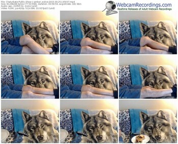 chaturbate-amber_wolve-webcam-show-09_25_2015-14_50_37