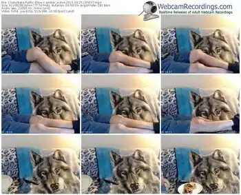 chaturbate-amber_wolve-webcam-show-09_25_2015-14_50_37