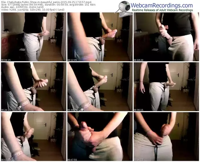 chaturbate-beautiful_penis-webcam-show-09_25_2015-17_21_57