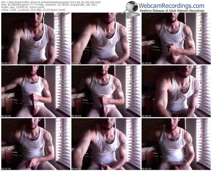 chaturbate-thelastshadowpuppet-webcam-show-09_26_2015-16_12_09