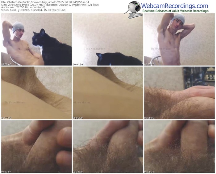 chaturbate-hey_arnold-webcam-show-10_18_2015-14_55_50