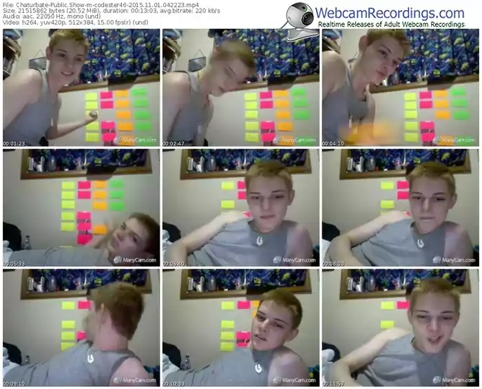 chaturbate-codester46-webcam-show-11_01_2015-04_22_23