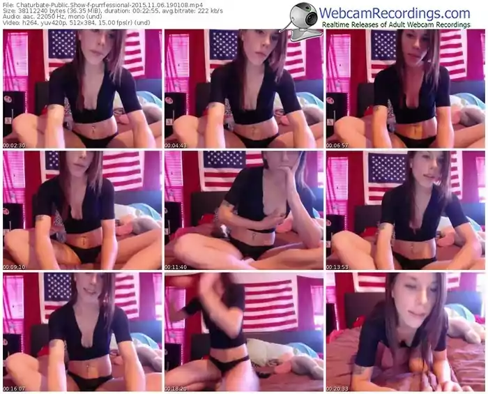 chaturbate-purrfessional-webcam-show-11_06_2015-19_01_08