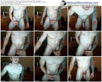 chaturbate-cybotron-webcam-show-11_09_2015-07_12_34
