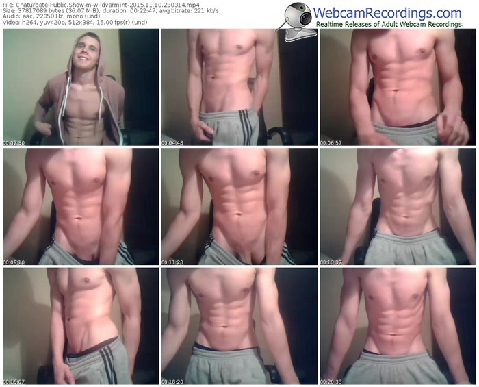 chaturbate-wildvarmint-webcam-show-11_10_2015-23_03_14