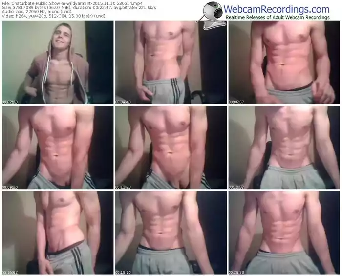 chaturbate-wildvarmint-webcam-show-11_10_2015-23_03_14