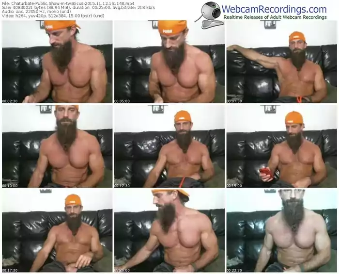 chaturbate-twaticus-webcam-show-11_12_2015-16_11_48