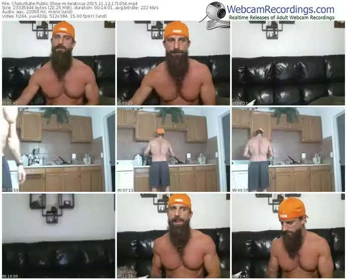 chaturbate-twaticus-webcam-show-11_12_2015-17_16_54