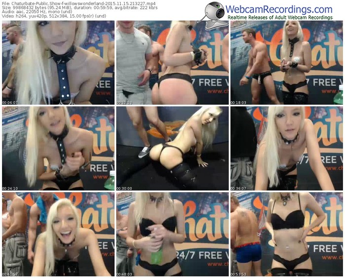 chaturbate-willowswonderland-webcam-show-11_15_2015-21_32_27
