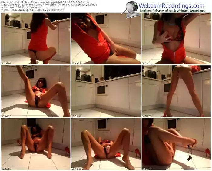 chaturbate-passiekoppel-webcam-show-11_17_2015-01_19_49