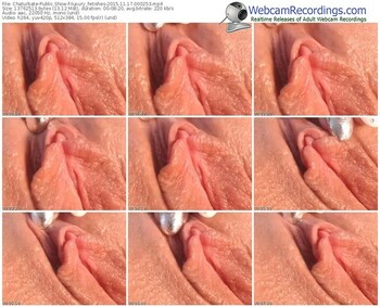 chaturbate-luxury_fetishes-webcam-show-11_17_2015-00_02_53