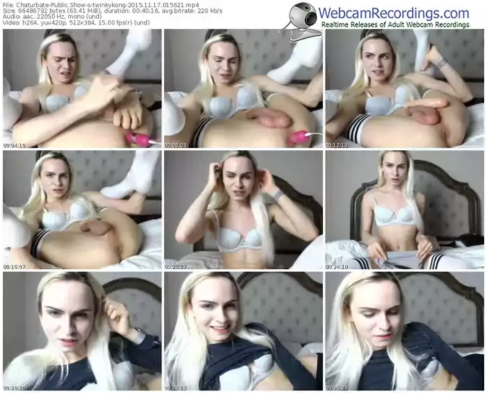 chaturbate-twinkykong-webcam-show-11_17_2015-01_56_21