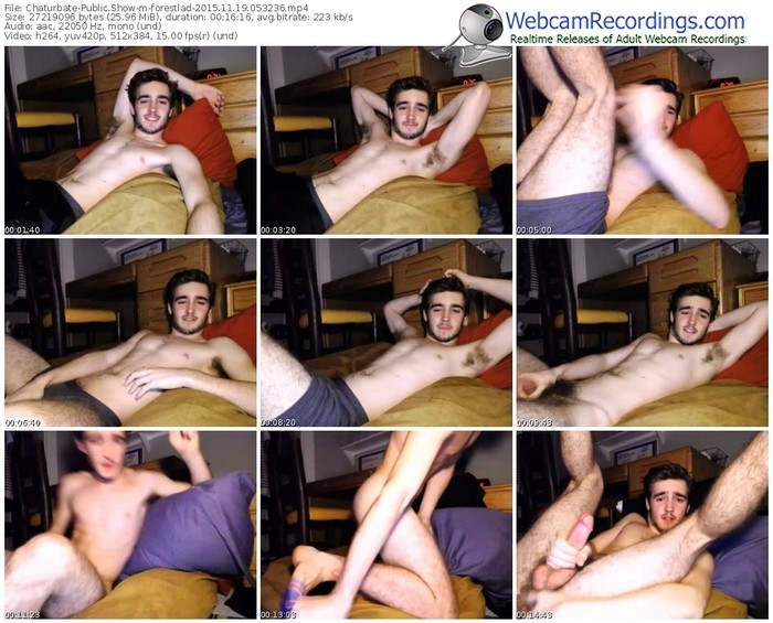 chaturbate-forestlad-webcam-show-11_19_2015-05_32_36