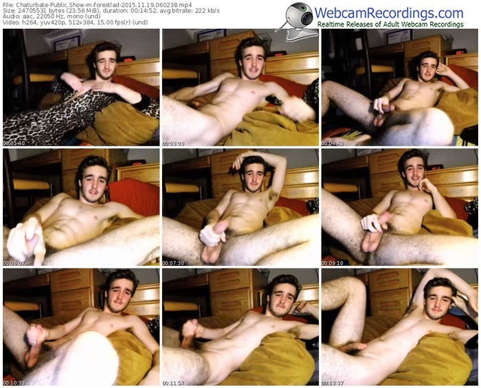 chaturbate-forestlad-webcam-show-11_19_2015-06_02_38
