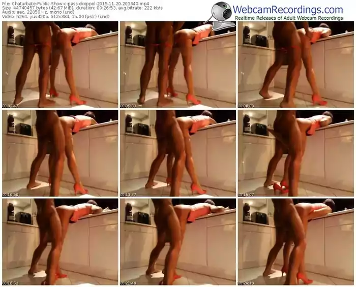 chaturbate-passiekoppel-webcam-show-11_20_2015-20_36_40