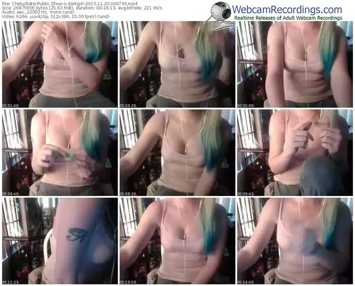 chaturbate-dorkgirl-webcam-show-11_20_2015-00_07_39