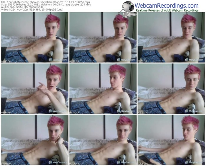 chaturbate-sexychameleon-webcam-show-11_21_2015-01_08_59