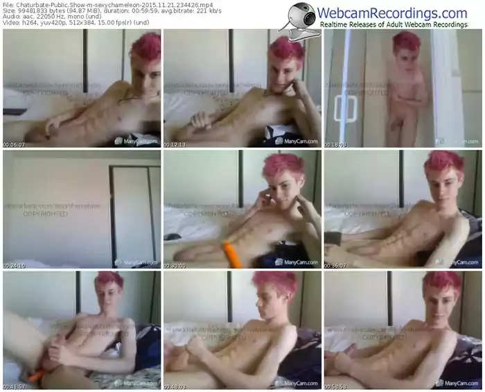 chaturbate-sexychameleon-webcam-show-11_21_2015-23_44_26