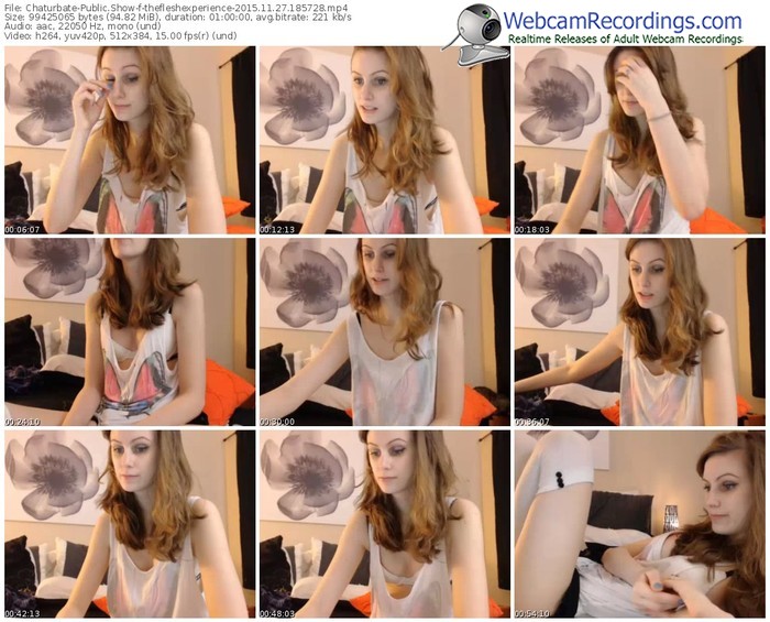 chaturbate-thefleshexperience-webcam-show-11_27_2015-18_57_28