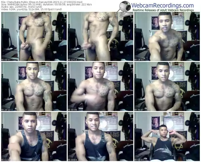 chaturbate-harvey008-webcam-show-11_27_2015-03_02_32