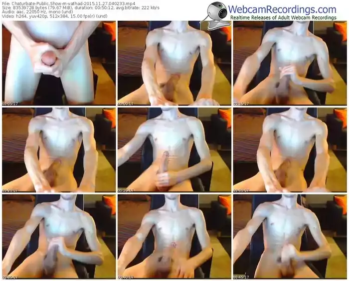 chaturbate-vathad-webcam-show-11_27_2015-04_02_33