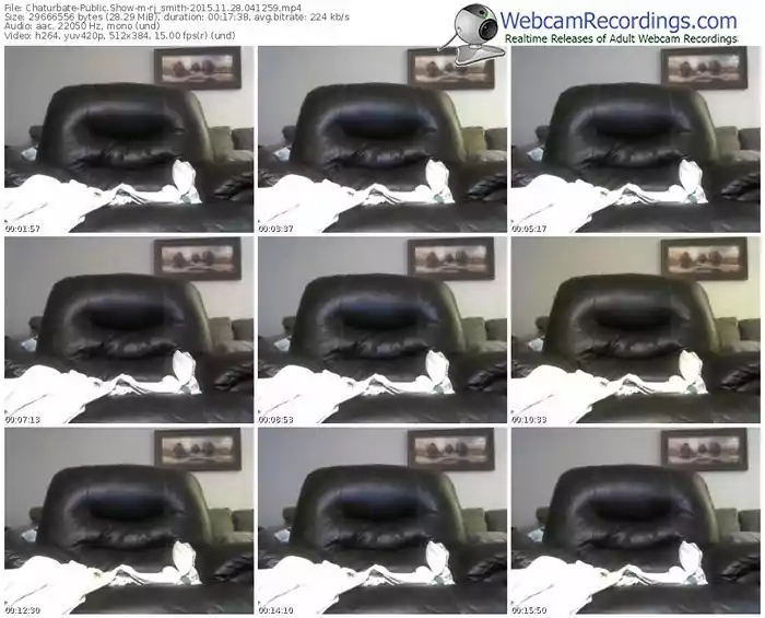 chaturbate-rj_smith-webcam-show-11_28_2015-04_12_59