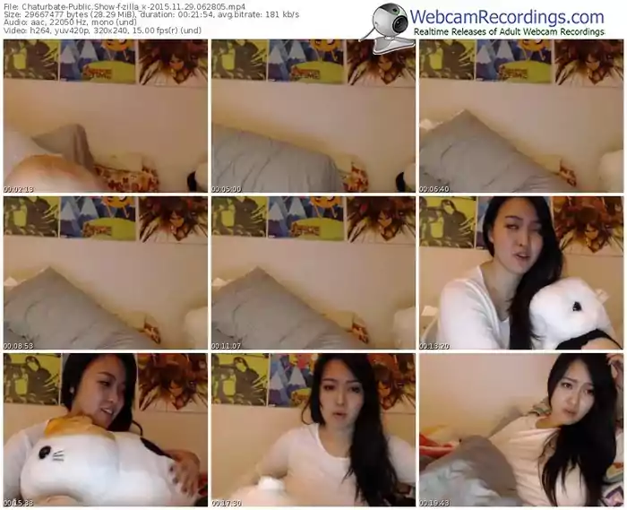 chaturbate-zilla_x-webcam-show-11_29_2015-06_28_05