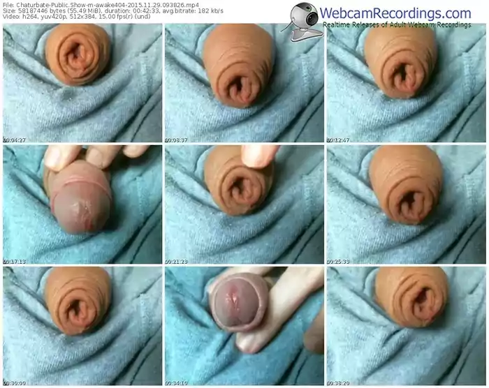 chaturbate-awake404-webcam-show-11_29_2015-09_38_26