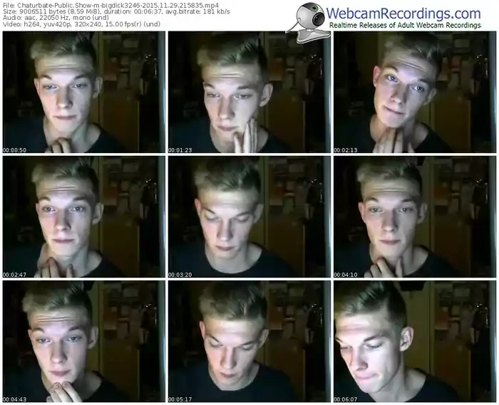 chaturbate-bigdick3246-webcam-show-11_29_2015-21_58_35